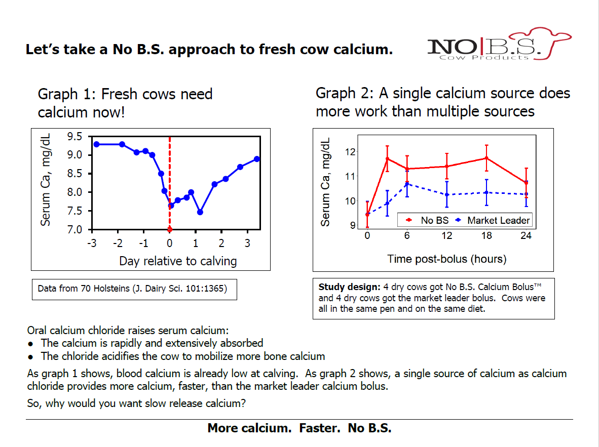 Two study graphs. Left: serum calcium falls sharply at calving. Right: serum calcium after a bolus stays higher over 24 hours with No B.S. calcium chloride than with the market-leader bolus.