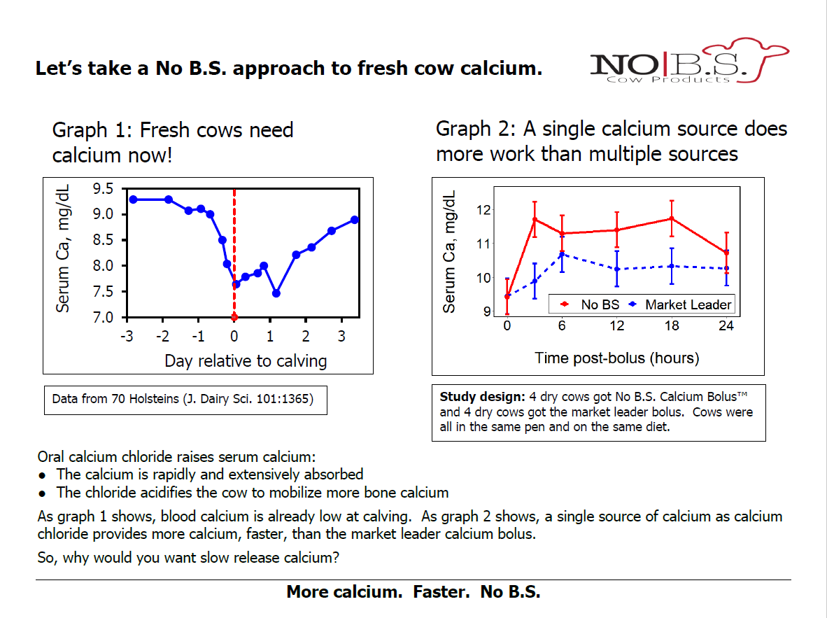 Two study graphs. Left: serum calcium falls sharply at calving. Right: serum calcium after a bolus stays higher over 24 hours with No B.S. calcium chloride than with the market-leader bolus.